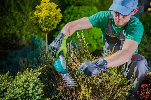 landscaping services Jewett